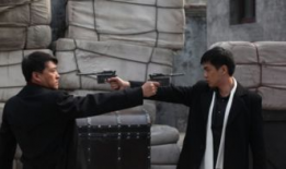 黑狐电视剧免费观看,揭秘神秘特工传奇，免费观看尽享谍战风云