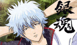 银魂动漫,笑对江湖，守护正义的武士传奇